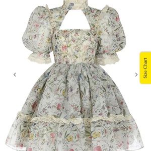 Selkie wildflower kilburn 18th dress size 2XL NWT